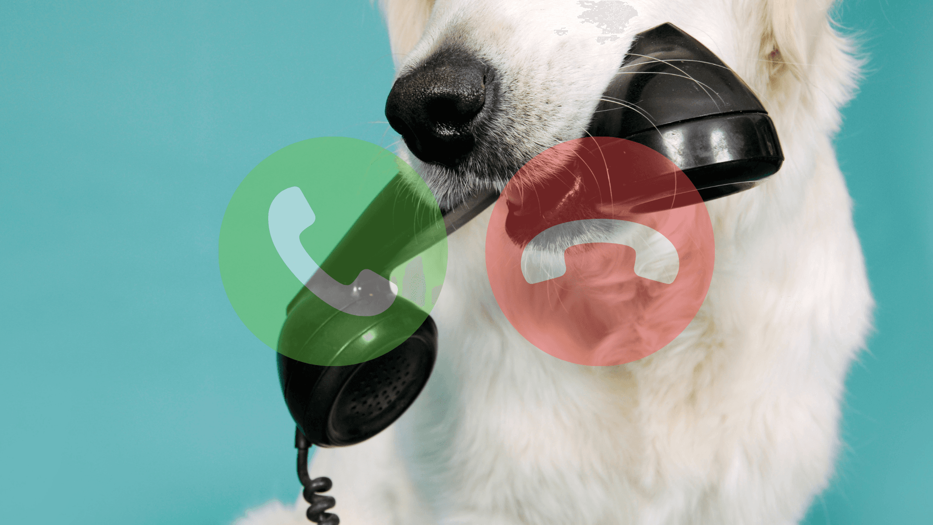 AI Phone Answering for Small Business: Never Miss a Lead Again